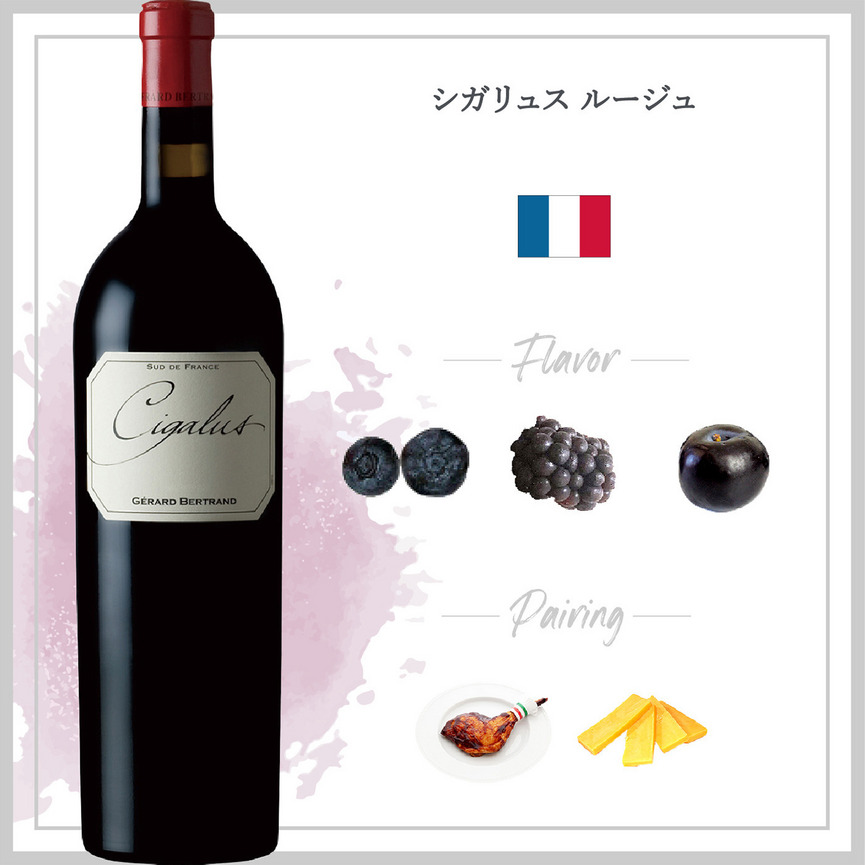 シガリュス ルージュ (2021) 詳細画像 2021 2