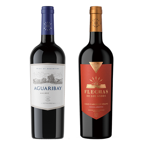 夏カタログ206 アルゼンチン 赤白ワイン 2本セット 詳細画像
