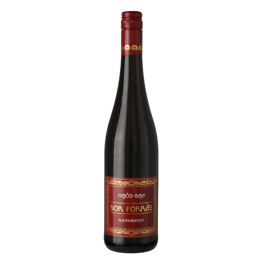 ボール・フォーラス (2024)