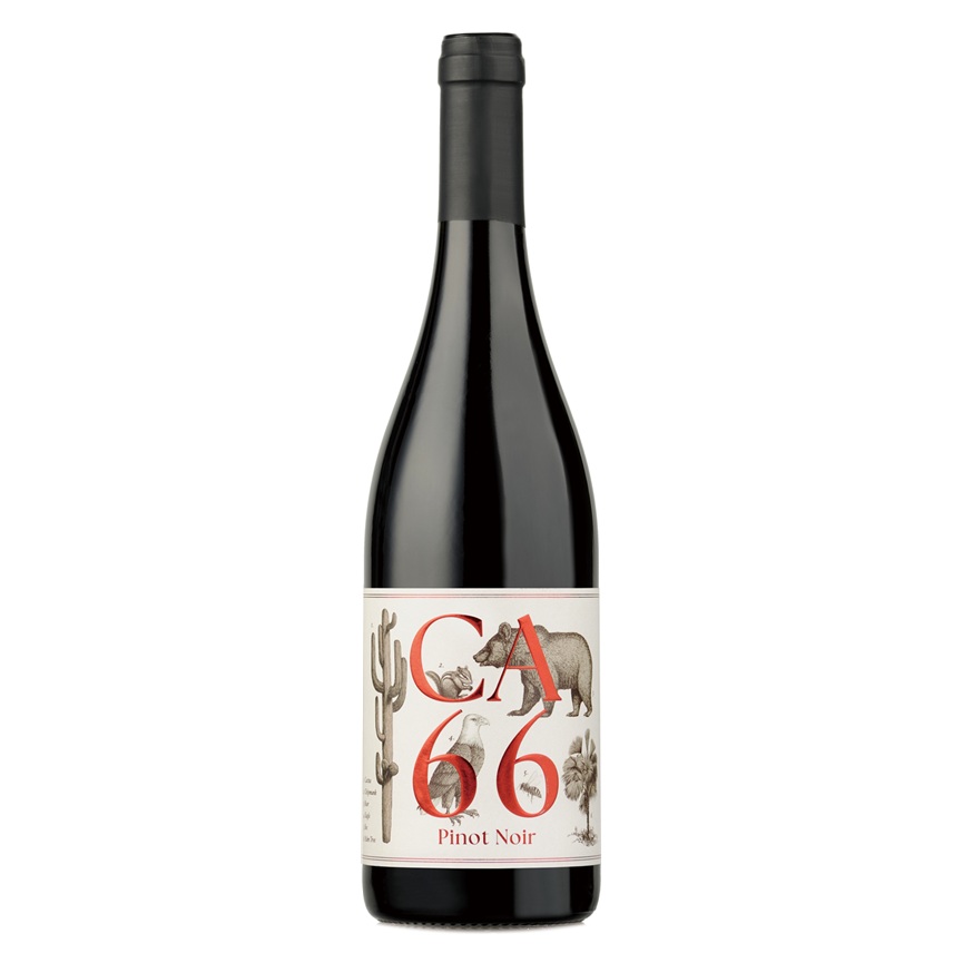 CA66 ピノ・ノワール (2023) 詳細画像 2023 1