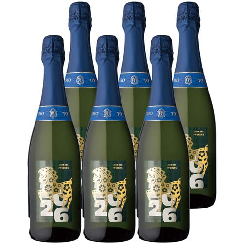 冬カタログ407 アルゼンチン スパークリングワイン 6本セット