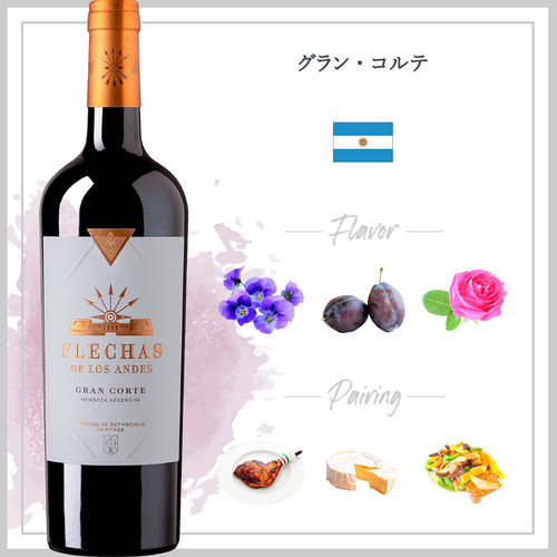 グラン・コルテ (2020) 詳細画像