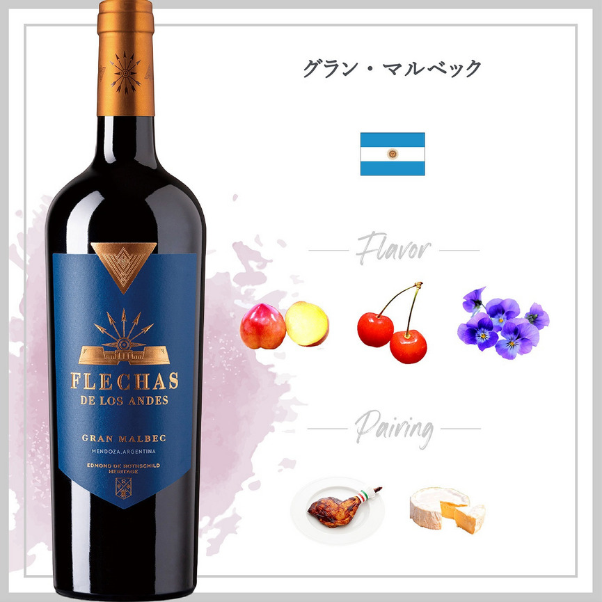 グラン・マルベック (2021) 詳細画像 2021 2