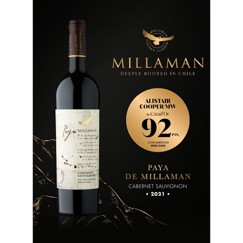 パヤ・デ・ミラマン カベルネ・ソーヴィニヨン (2021) 詳細画像
