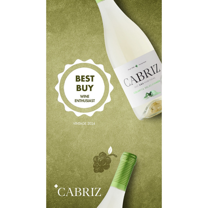 カブリス ホワイト (2024) 詳細画像 2024 2