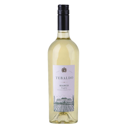 テバルド ビアンコ (2024)