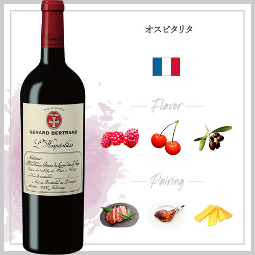 オスピタリタ (2023) 詳細画像