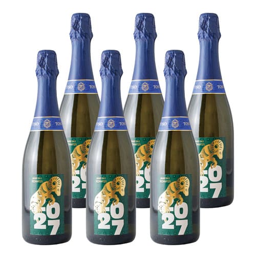 冬カタログ407 アルゼンチン スパークリングワイン 6本セット