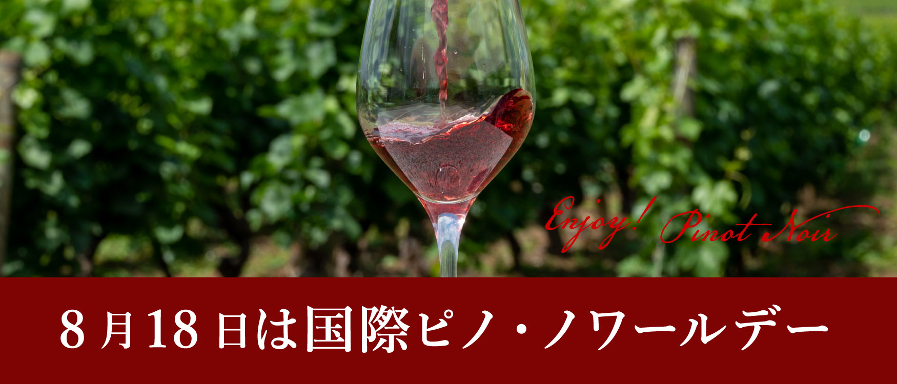 ピノ・ノワールのワイン商品一覧 | ピーロート・ジャパン ハイエンド