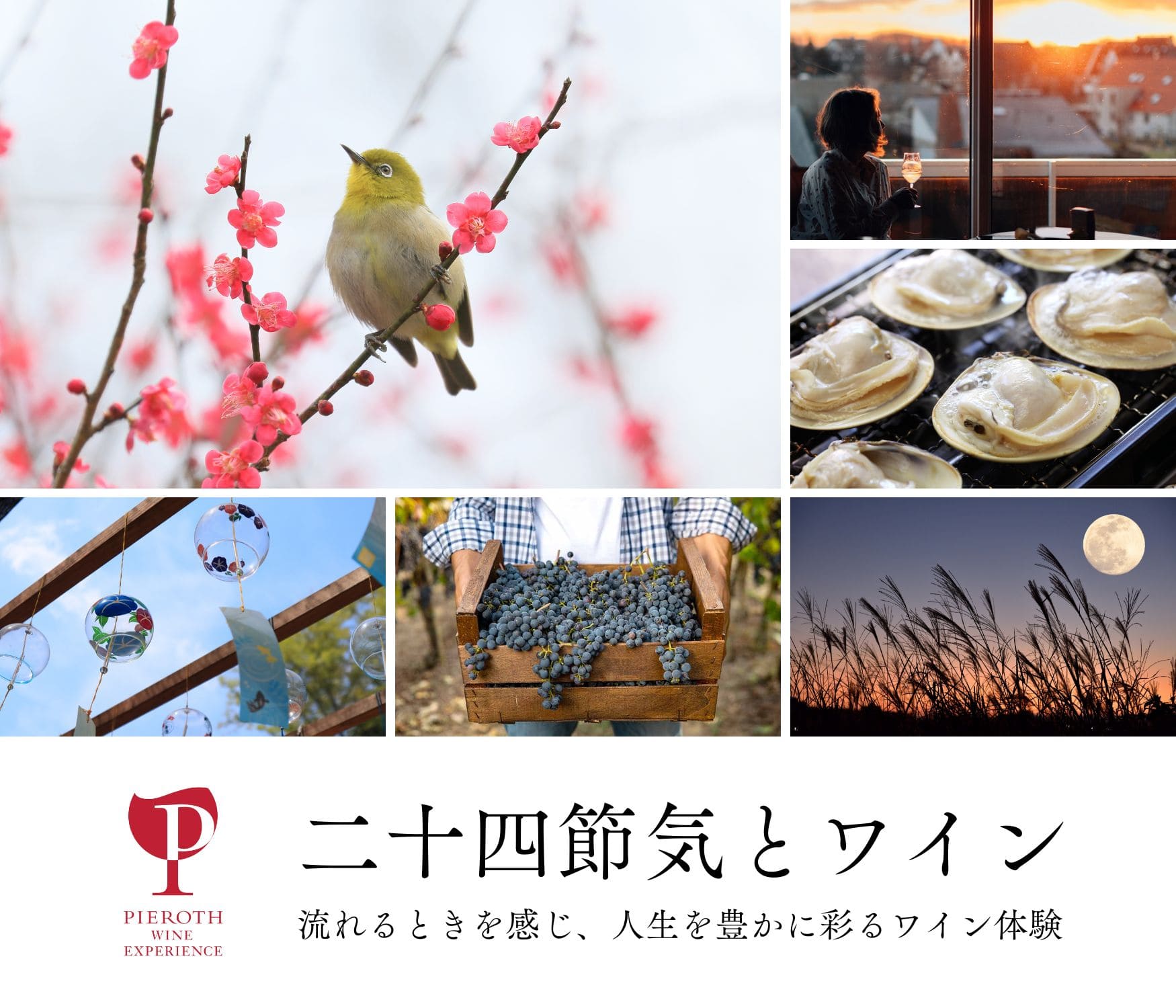 二十四節気とワイン