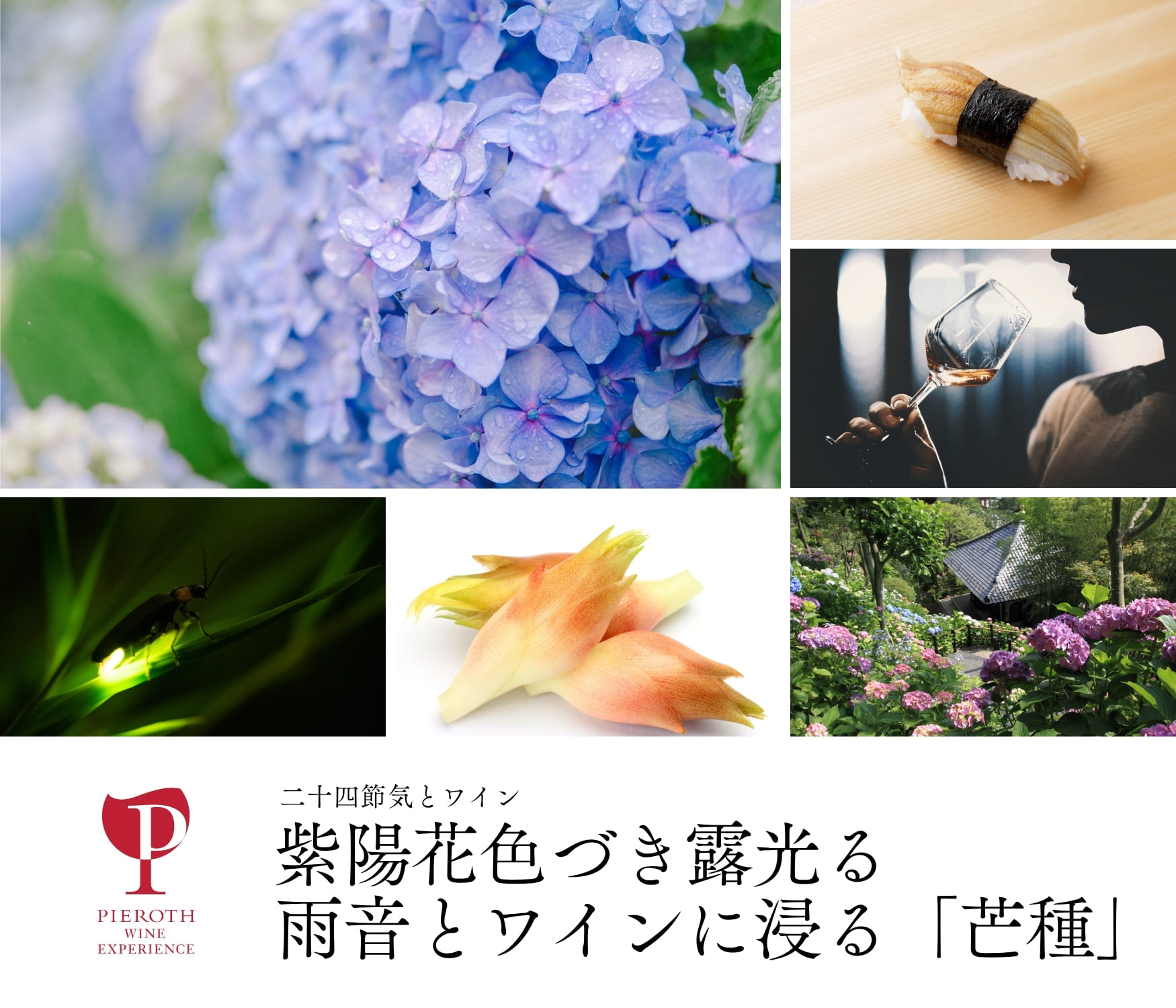 芒種｜二十四節気とワイン