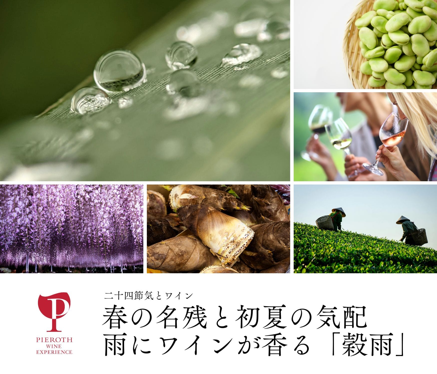 穀雨｜二十四節気とワイン