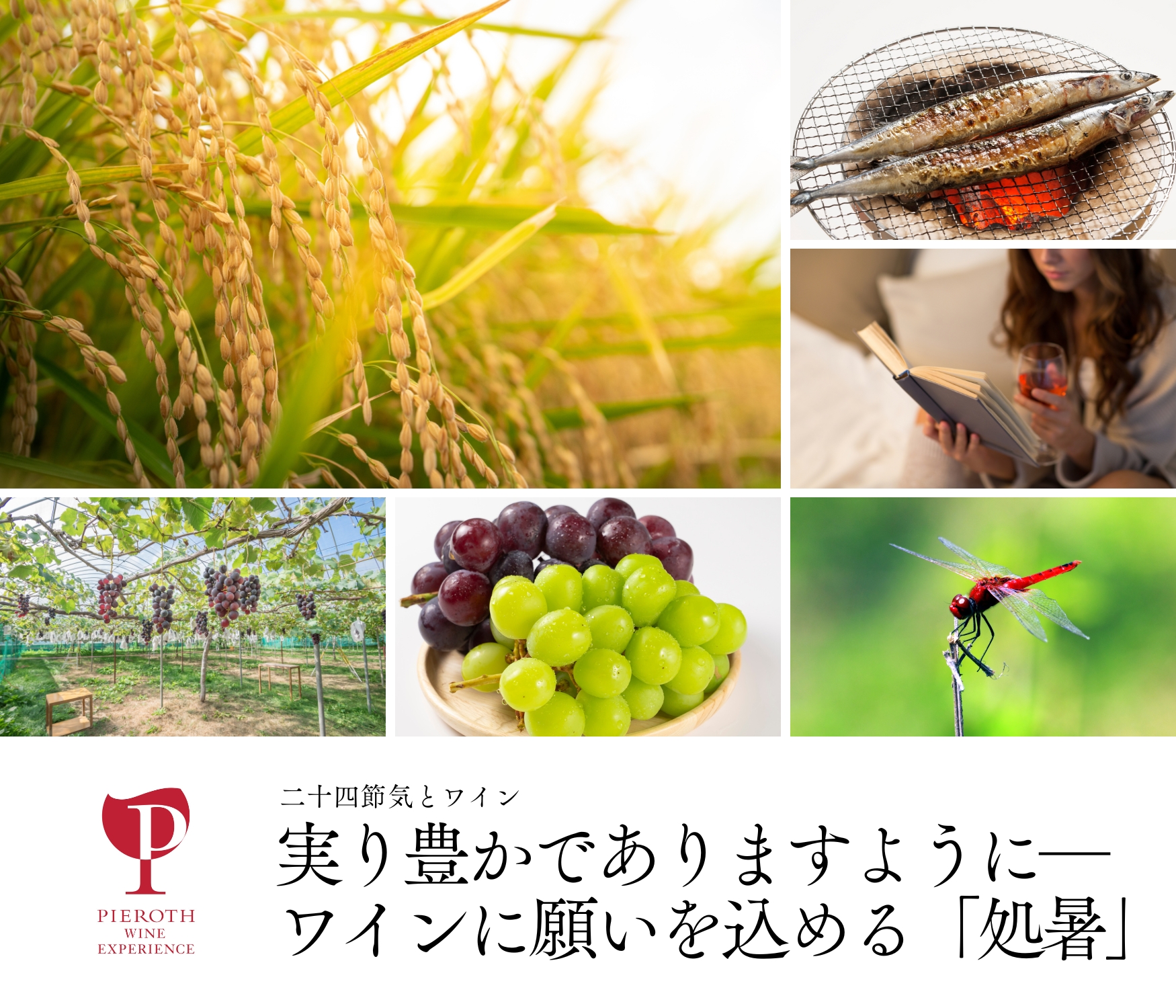 処暑｜二十四節気とワイン