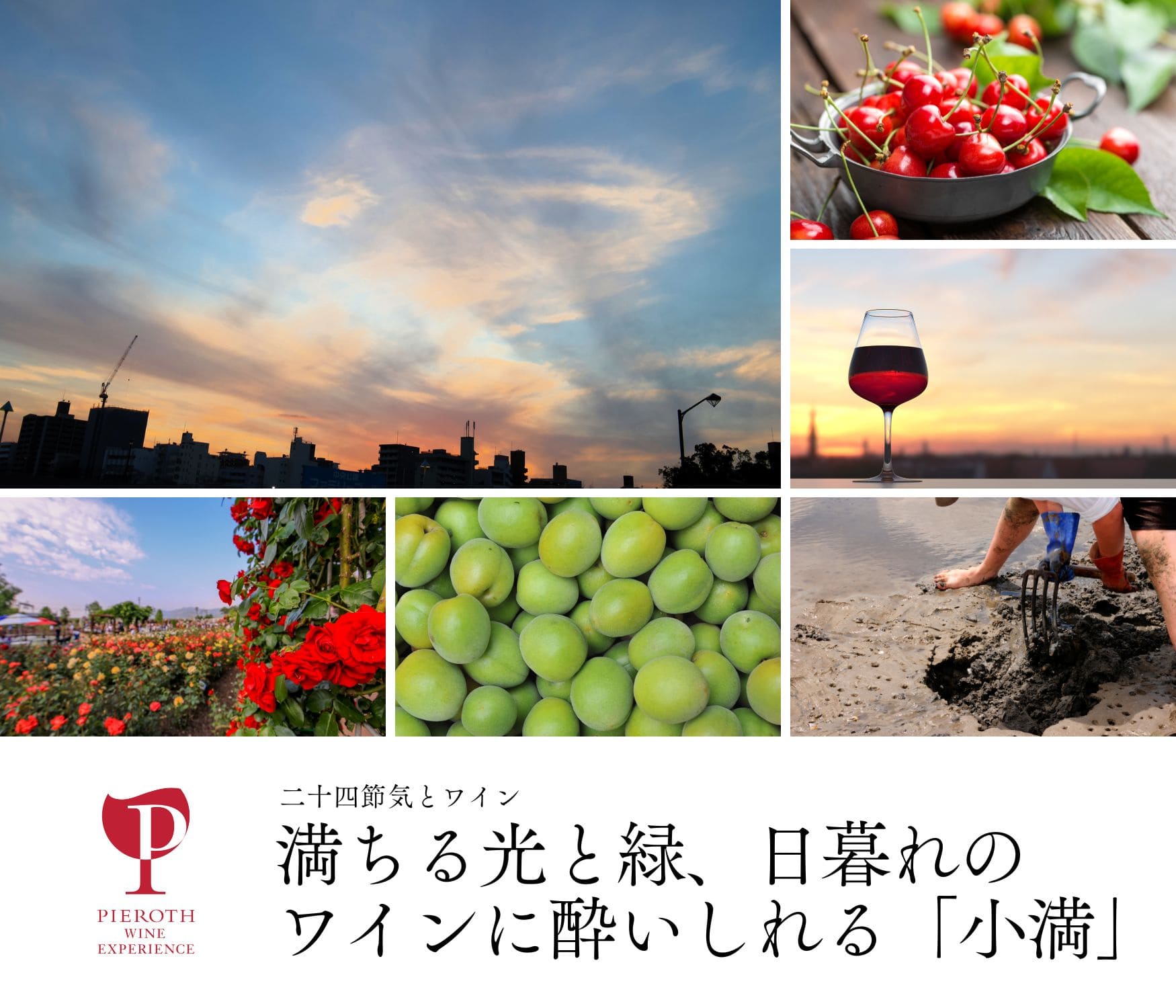 小満｜二十四節気とワイン