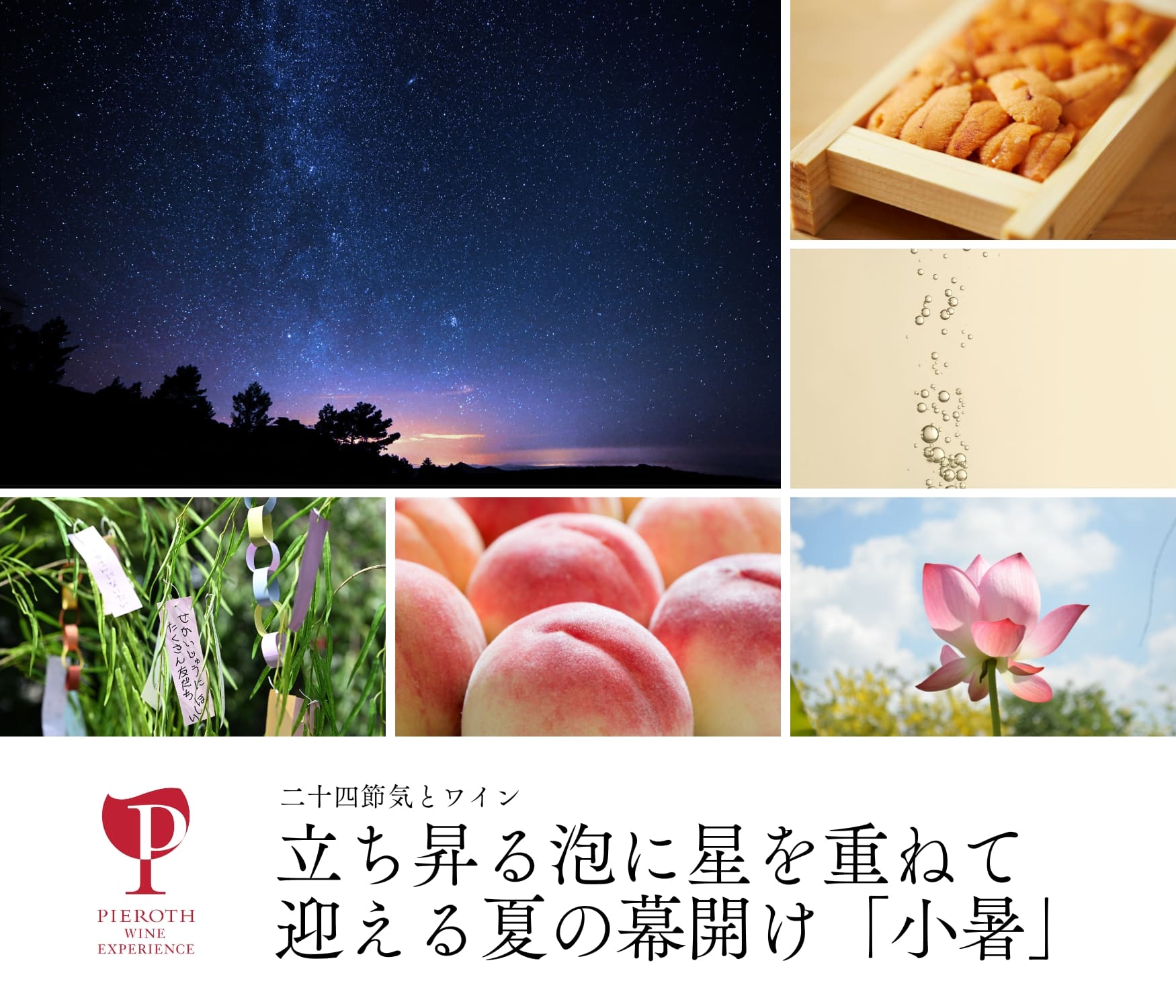 小暑｜二十四節気とワイン